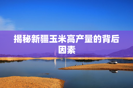 揭秘新疆玉米高产量的背后因素