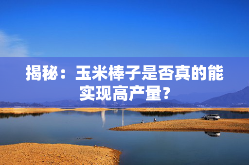 揭秘：玉米棒子是否真的能实现高产量？
