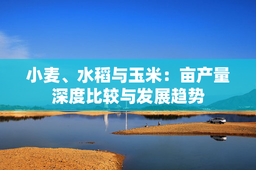 小麦、水稻与玉米：亩产量深度比较与发展趋势