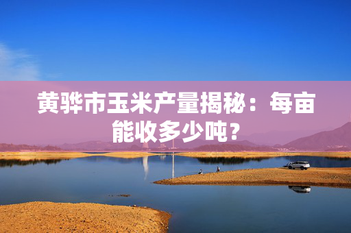 黄骅市玉米产量揭秘：每亩能收多少吨？