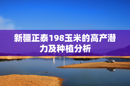 新疆正泰198玉米的高产潜力及种植分析