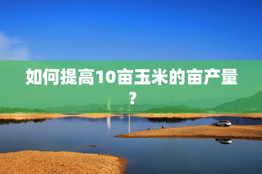 如何提高10亩玉米的亩产量？