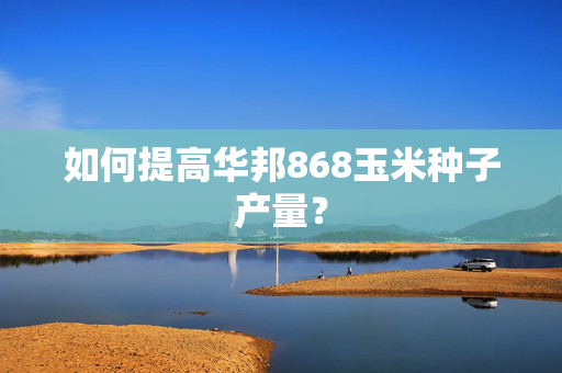 如何提高华邦868玉米种子产量？