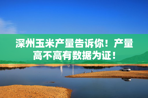 深州玉米产量告诉你！产量高不高有数据为证！