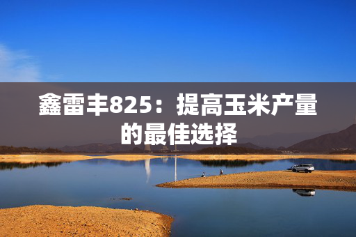 鑫雷丰825：提高玉米产量的最佳选择