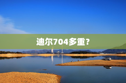 迪尔704多重？