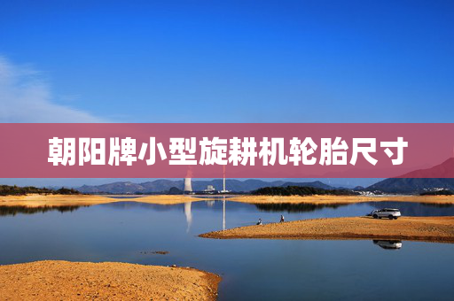 朝阳牌小型旋耕机轮胎尺寸