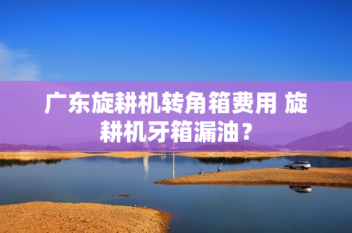 广东旋耕机转角箱费用 旋耕机牙箱漏油？