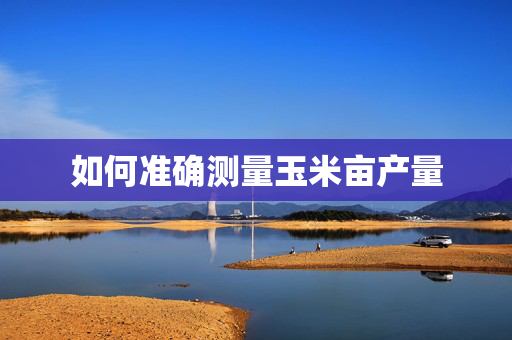 如何准确测量玉米亩产量
