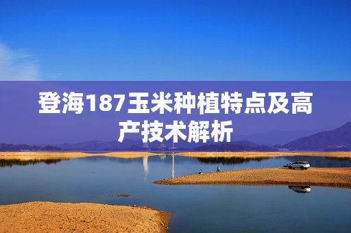 登海187玉米种植特点及高产技术解析