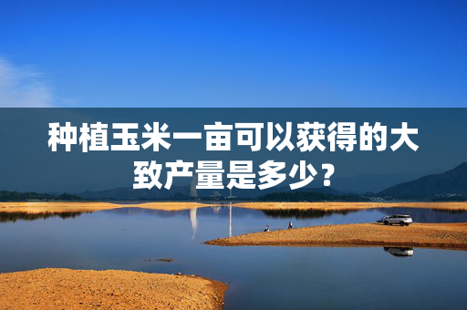 种植玉米一亩可以获得的大致产量是多少？
