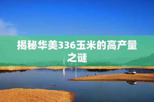揭秘华美336玉米的高产量之谜