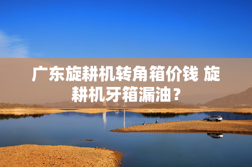 广东旋耕机转角箱价钱 旋耕机牙箱漏油？
