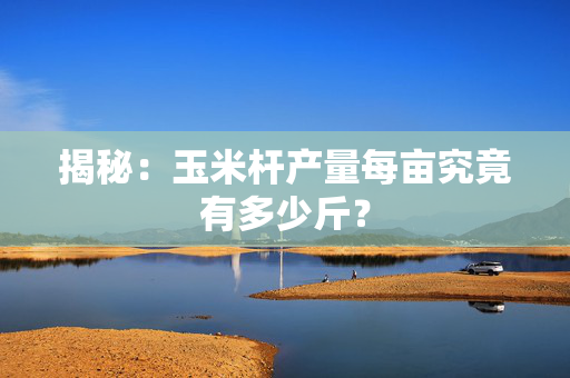 揭秘：玉米杆产量每亩究竟有多少斤？