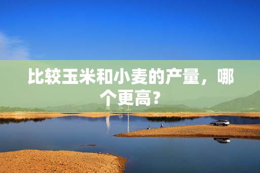 比较玉米和小麦的产量，哪个更高？