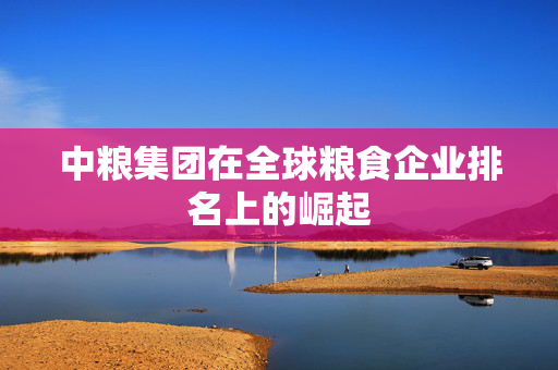 中粮集团在全球粮食企业排名上的崛起