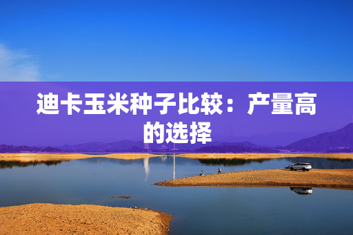 迪卡玉米种子比较：产量高的选择