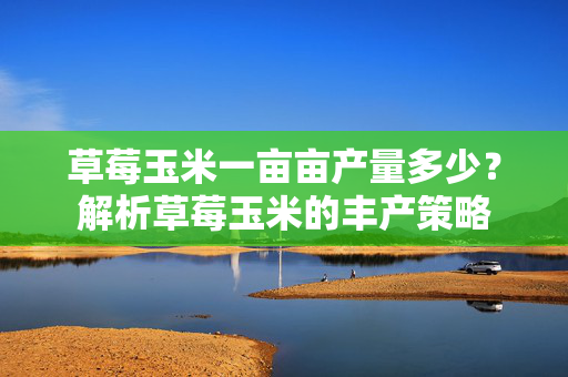 草莓玉米一亩亩产量多少？解析草莓玉米的丰产策略