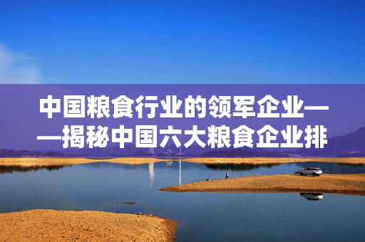 中国粮食行业的领军企业——揭秘中国六大粮食企业排名榜