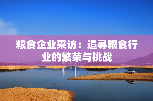 粮食企业采访：追寻粮食行业的繁荣与挑战