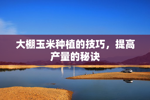 大棚玉米种植的技巧，提高产量的秘诀