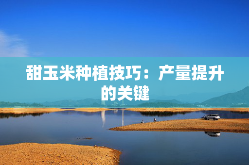 甜玉米种植技巧：产量提升的关键