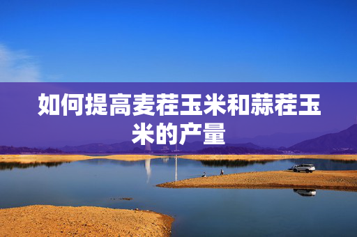 如何提高麦茬玉米和蒜茬玉米的产量