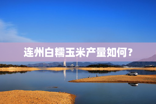连州白糯玉米产量如何？