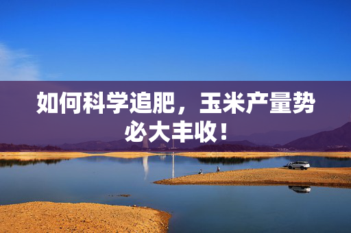 如何科学追肥，玉米产量势必大丰收！