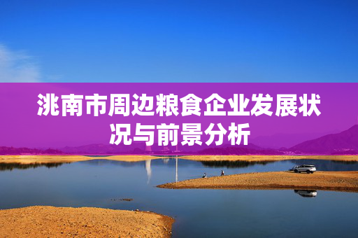 洮南市周边粮食企业发展状况与前景分析
