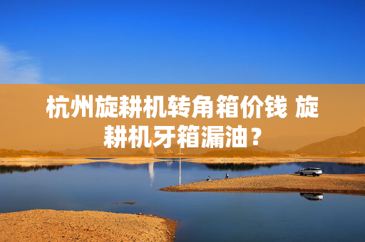 杭州旋耕机转角箱价钱 旋耕机牙箱漏油？