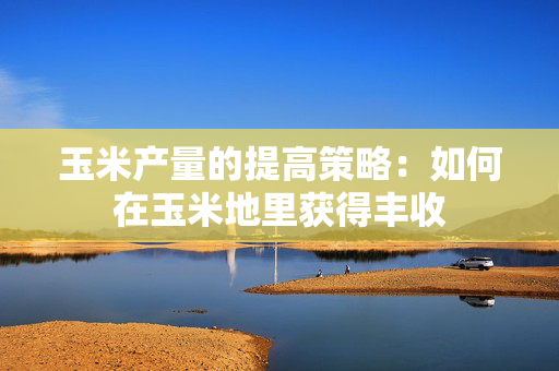 玉米产量的提高策略：如何在玉米地里获得丰收