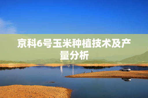 京科6号玉米种植技术及产量分析
