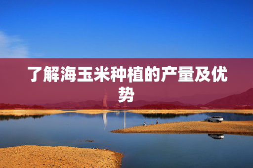 了解海玉米种植的产量及优势