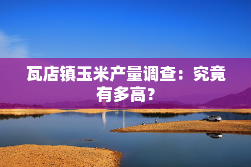 瓦店镇玉米产量调查：究竟有多高？
