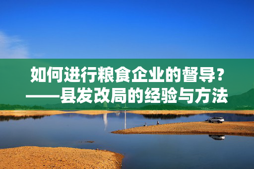 如何进行粮食企业的督导？——县发改局的经验与方法