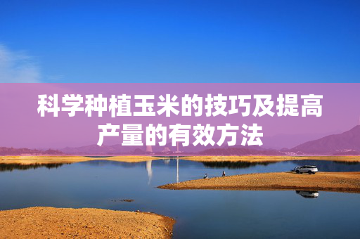 科学种植玉米的技巧及提高产量的有效方法