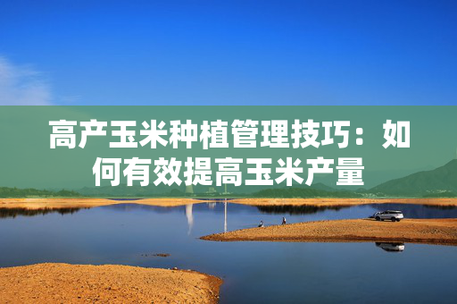 高产玉米种植管理技巧：如何有效提高玉米产量