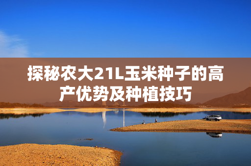 探秘农大21L玉米种子的高产优势及种植技巧