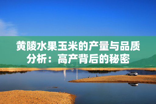黄陵水果玉米的产量与品质分析：高产背后的秘密