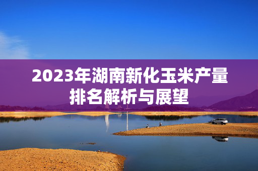 2023年湖南新化玉米产量排名解析与展望