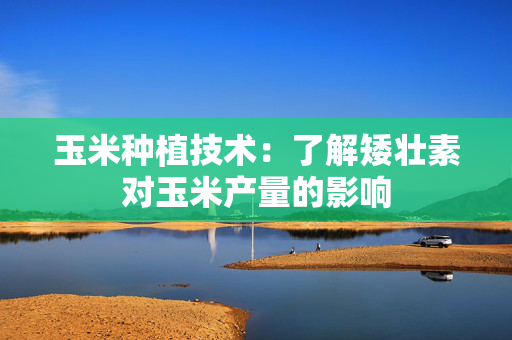 玉米种植技术：了解矮壮素对玉米产量的影响