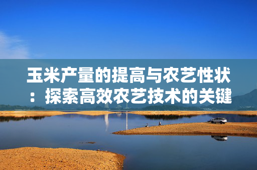 玉米产量的提高与农艺性状：探索高效农艺技术的关键因素