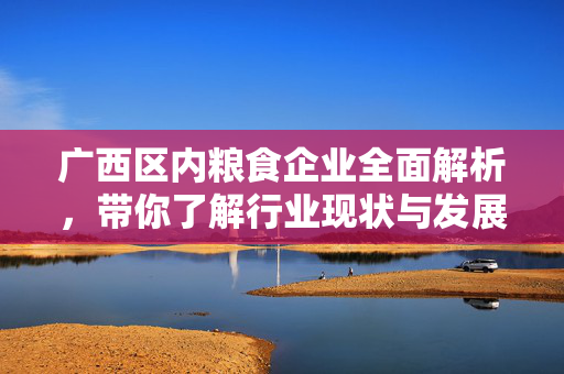 广西区内粮食企业全面解析，带你了解行业现状与发展趋势