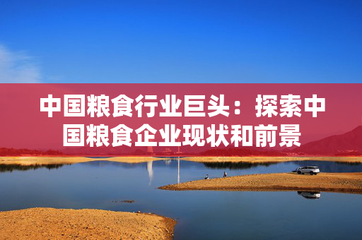 中国粮食行业巨头：探索中国粮食企业现状和前景