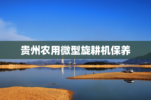 贵州农用微型旋耕机保养