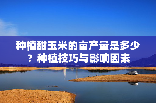 种植甜玉米的亩产量是多少？种植技巧与影响因素