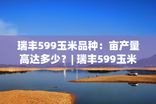 瑞丰599玉米品种：亩产量高达多少？| 瑞丰599玉米亩产量剖析