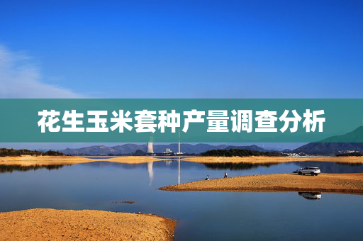花生玉米套种产量调查分析