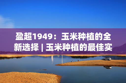 盈超1949：玉米种植的全新选择 | 玉米种植的最佳实践